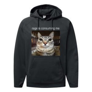 Rage Is Consuming Me Silly Staring Cat Meme Performance Fleece Hoodie