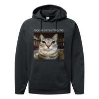 Rage Is Consuming Me Silly Staring Cat Meme Performance Fleece Hoodie