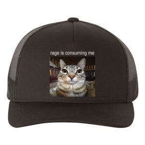 Rage Is Consuming Me Silly Staring Cat Meme Yupoong Adult 5-Panel Trucker Hat