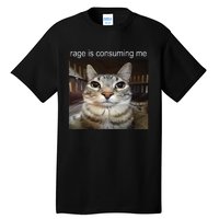 Rage Is Consuming Me Silly Staring Cat Meme Tall T-Shirt