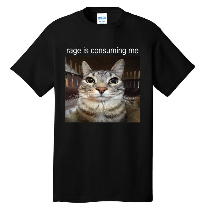 Rage Is Consuming Me Silly Staring Cat Meme Tall T-Shirt