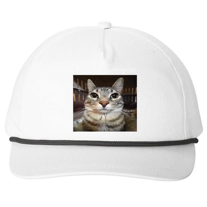 Rage Is Consuming Me Silly Staring Cat Meme Snapback Five-Panel Rope Hat