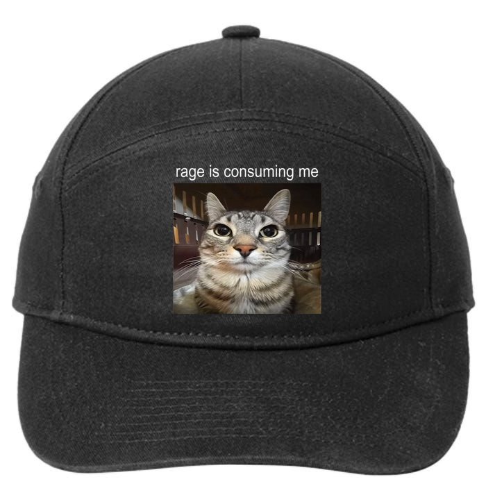 Rage Is Consuming Me Silly Staring Cat Meme 7-Panel Snapback Hat