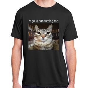 Rage Is Consuming Me Silly Staring Cat Meme Adult ChromaSoft Performance T-Shirt