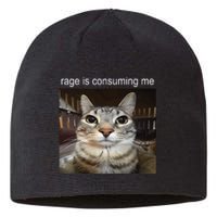 Rage Is Consuming Me Silly Staring Cat Meme Sustainable Beanie