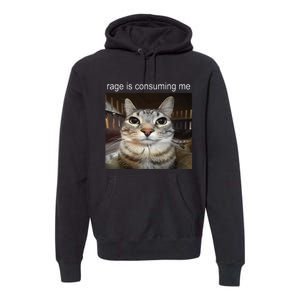 Rage Is Consuming Me Silly Staring Cat Meme Premium Hoodie