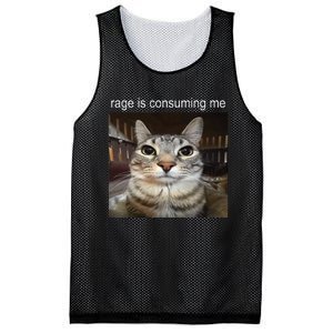 Rage Is Consuming Me Silly Staring Cat Meme Mesh Reversible Basketball Jersey Tank