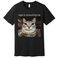 Rage Is Consuming Me Silly Staring Cat Meme Premium T-Shirt