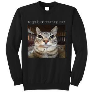 Rage Is Consuming Me Silly Staring Cat Meme Tall Sweatshirt