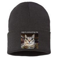 Rage Is Consuming Me Silly Staring Cat Meme Sustainable Knit Beanie