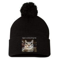 Rage Is Consuming Me Silly Staring Cat Meme Pom Pom 12in Knit Beanie