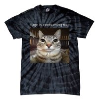 Rage Is Consuming Me Silly Staring Cat Meme Tie-Dye T-Shirt