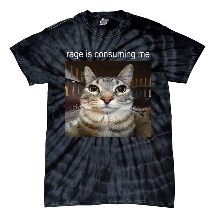 Rage Is Consuming Me Silly Staring Cat Meme Tie-Dye T-Shirt