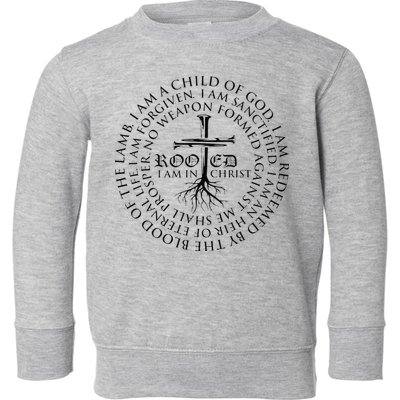 Rooted in Christ Religious Christian Jesus Vintage Toddler Sweatshirt