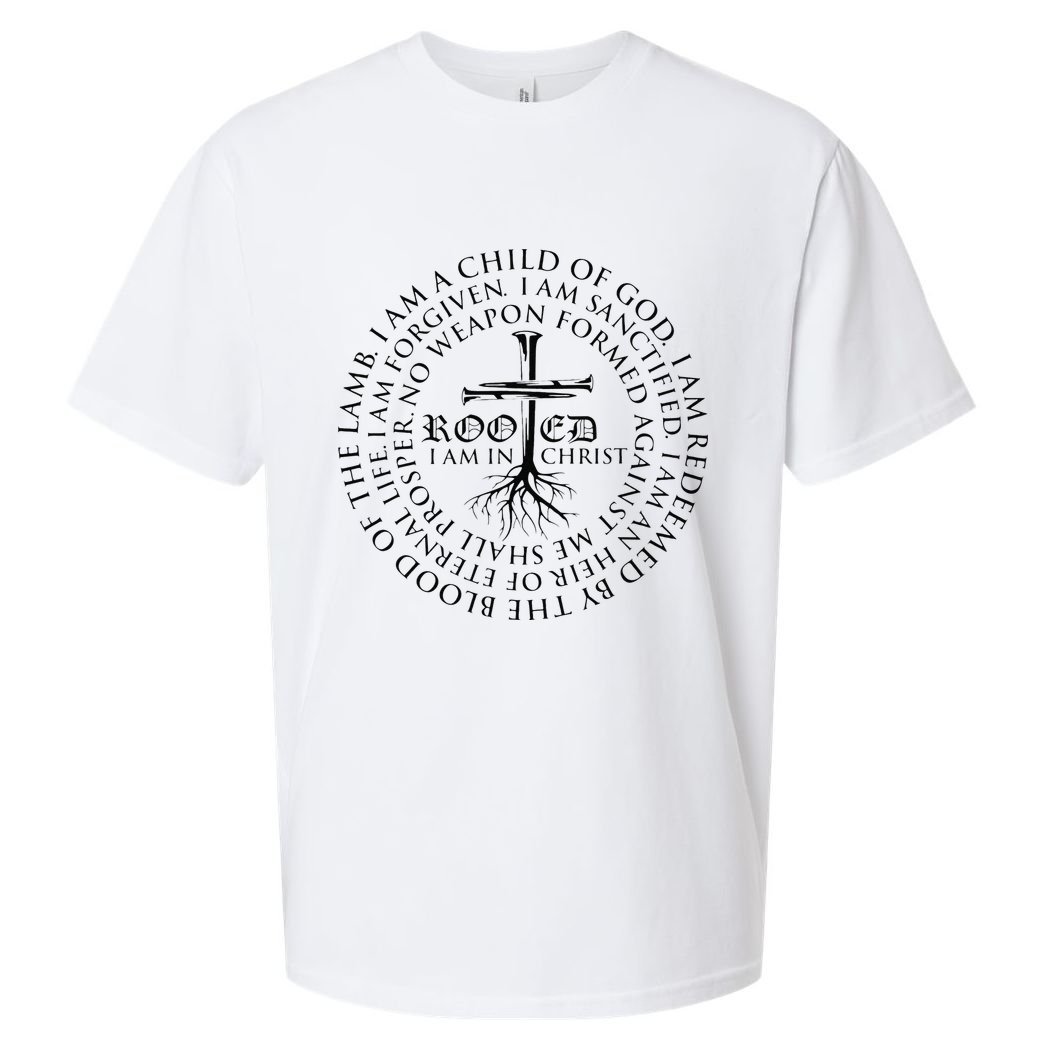 Rooted in Christ Religious Christian Jesus Vintage Sueded Cloud Jersey T-Shirt