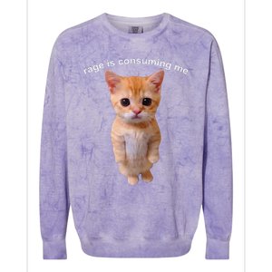 Rage Is Consuming Me Silly Staring Cat Meme Colorblast Crewneck Sweatshirt