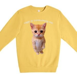 Rage Is Consuming Me Silly Staring Cat Meme Premium Crewneck Sweatshirt