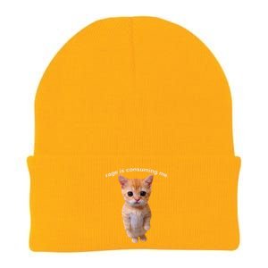 Rage Is Consuming Me Silly Staring Cat Meme Knit Cap Winter Beanie