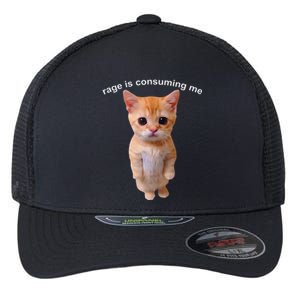 Rage Is Consuming Me Silly Staring Cat Meme Flexfit Unipanel Trucker Cap