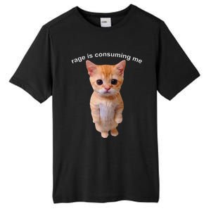 Rage Is Consuming Me Silly Staring Cat Meme Tall Fusion ChromaSoft Performance T-Shirt