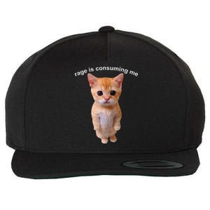 Rage Is Consuming Me Silly Staring Cat Meme Wool Snapback Cap