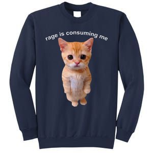 Rage Is Consuming Me Silly Staring Cat Meme Sweatshirt