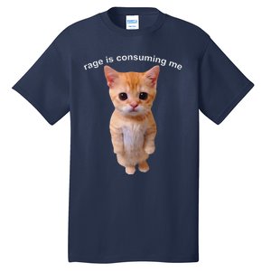 Rage Is Consuming Me Silly Staring Cat Meme Tall T-Shirt