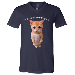 Rage Is Consuming Me Silly Staring Cat Meme V-Neck T-Shirt