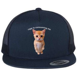 Rage Is Consuming Me Silly Staring Cat Meme Flat Bill Trucker Hat