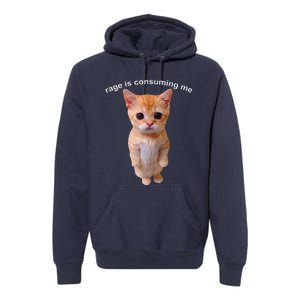 Rage Is Consuming Me Silly Staring Cat Meme Premium Hoodie