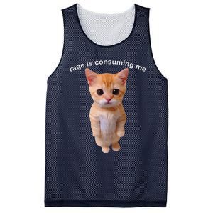 Rage Is Consuming Me Silly Staring Cat Meme Mesh Reversible Basketball Jersey Tank