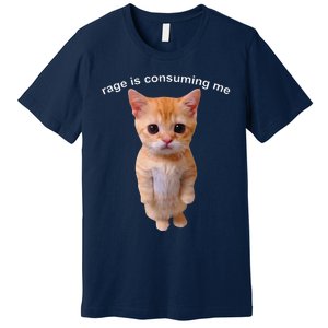 Rage Is Consuming Me Silly Staring Cat Meme Premium T-Shirt