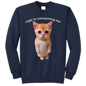 Rage Is Consuming Me Silly Staring Cat Meme Tall Sweatshirt