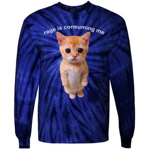 Rage Is Consuming Me Silly Staring Cat Meme Tie-Dye Long Sleeve Shirt