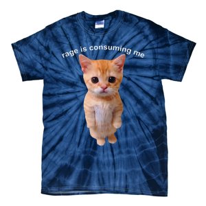 Rage Is Consuming Me Silly Staring Cat Meme Tie-Dye T-Shirt