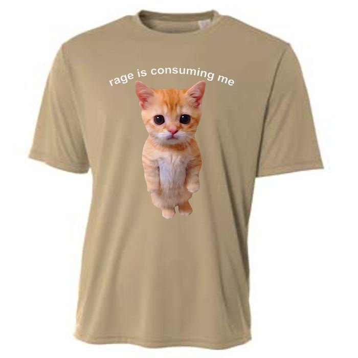 Rage Is Consuming Me Silly Staring Cat Meme Cooling Performance Crew T-Shirt