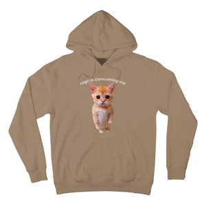 Rage Is Consuming Me Silly Staring Cat Meme Hoodie