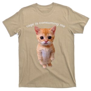 Rage Is Consuming Me Silly Staring Cat Meme T-Shirt