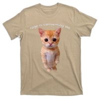 Rage Is Consuming Me Silly Staring Cat Meme T-Shirt