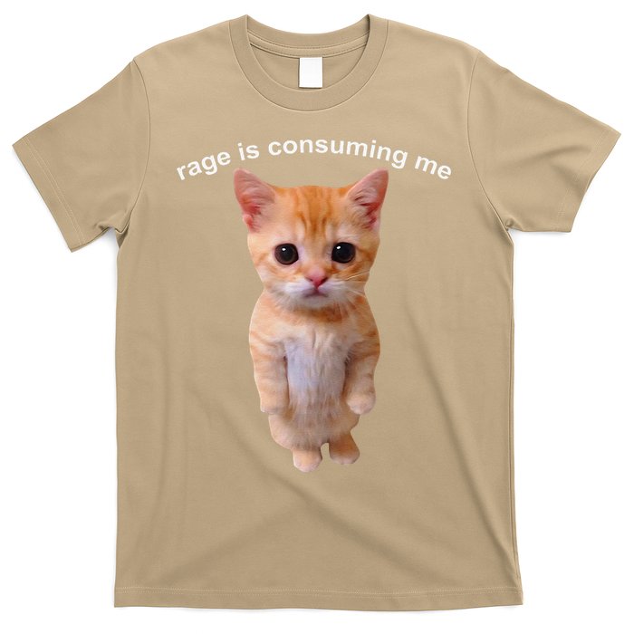 Rage Is Consuming Me Silly Staring Cat Meme T-Shirt