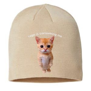 Rage Is Consuming Me Silly Staring Cat Meme Sustainable Beanie