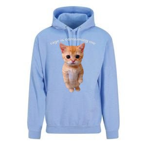 Rage Is Consuming Me Silly Staring Cat Meme Unisex Surf Hoodie