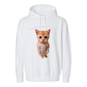 Rage Is Consuming Me Silly Staring Cat Meme Garment-Dyed Fleece Hoodie