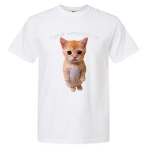 Rage Is Consuming Me Silly Staring Cat Meme Garment-Dyed Heavyweight T-Shirt