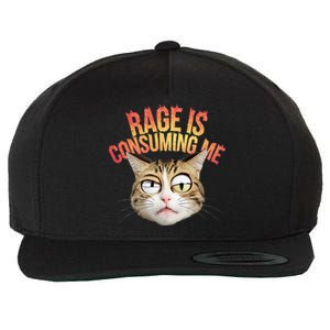 Rage Is Consuming Me Cat Wool Snapback Cap