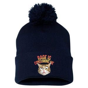 Rage Is Consuming Me Cat Pom Pom 12in Knit Beanie