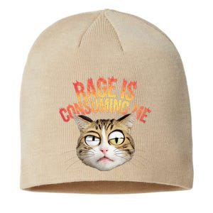 Rage Is Consuming Me Cat Sustainable Beanie