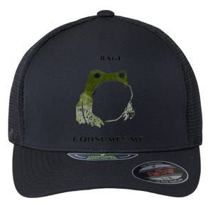 Rage Is Consuming Me Meme Frog Meme Flexfit Unipanel Trucker Cap