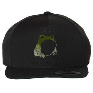 Rage Is Consuming Me Meme Frog Meme Wool Snapback Cap