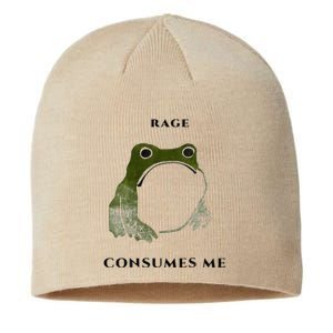 Rage Is Consuming Me Meme Frog Meme Sustainable Beanie